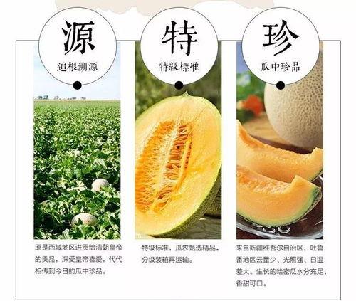 吃哈密瓜前泡水,解锁美味新食法，营养翻倍的秘密