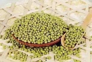 吃蜜瓜长痘,揭秘吃蜜瓜引发痘痘的秘密