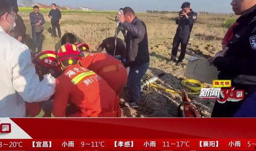 荆门吃瓜事件视频