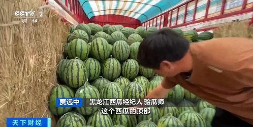 长安西站吃瓜,瓜田李下，一网打尽美食盛宴