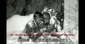 曲沃吃瓜事件,一场引发社会热议的校园风波