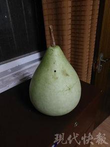 吃烂瓜中毒,揭秘食品安全隐患与防范措施