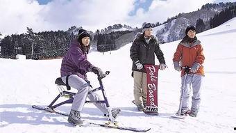 东京滑雪圈吃瓜事件,揭秘背后真相与争议