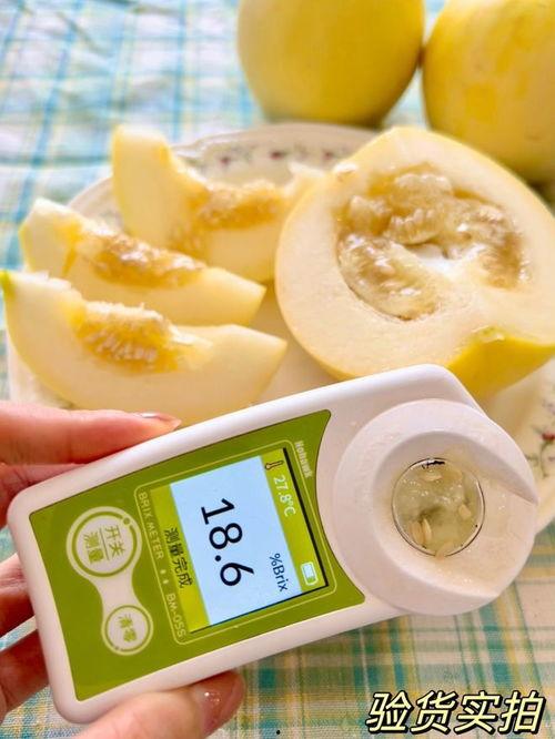 小蜜蜂瓜怎么吃,解锁美味新吃法