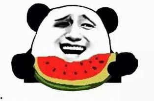 阿精吃瓜群众,揭秘娱乐圈幕后故事