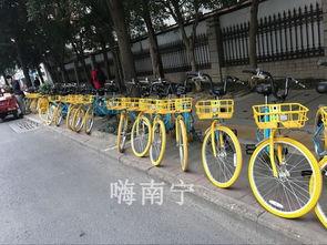 踩单车吃瓜,单车之旅中的悠闲时光