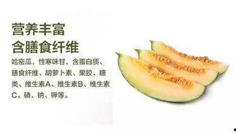 哈密吃瓜社,揭秘瓜界风云，品味生活百态