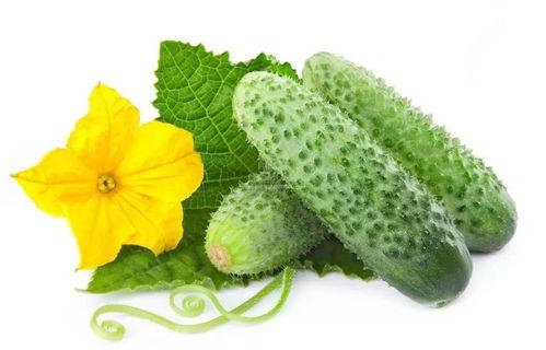 吃瓜系统宋夏,吃瓜系统下的历史演绎