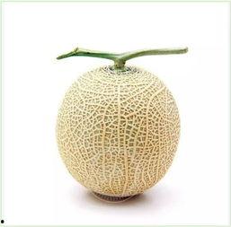 带你吃瓜原来叫什么