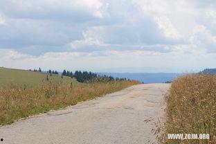 梦见到地里摘瓜吃,地里摘瓜的奇幻之旅