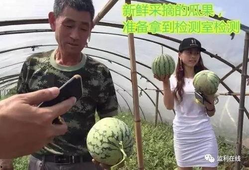 最美吃瓜群众直播,揭秘网红幕后生活