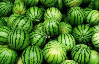 吃瓜秘笈,吃瓜秘笈大公开